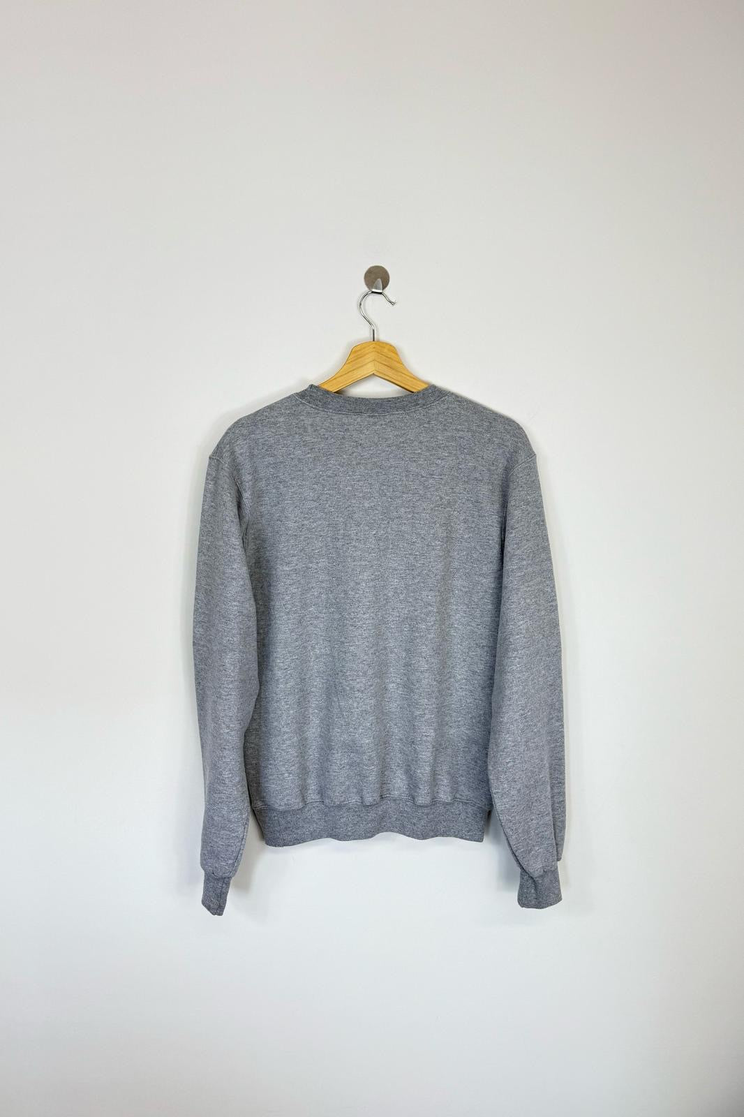 Champion sweatshirt